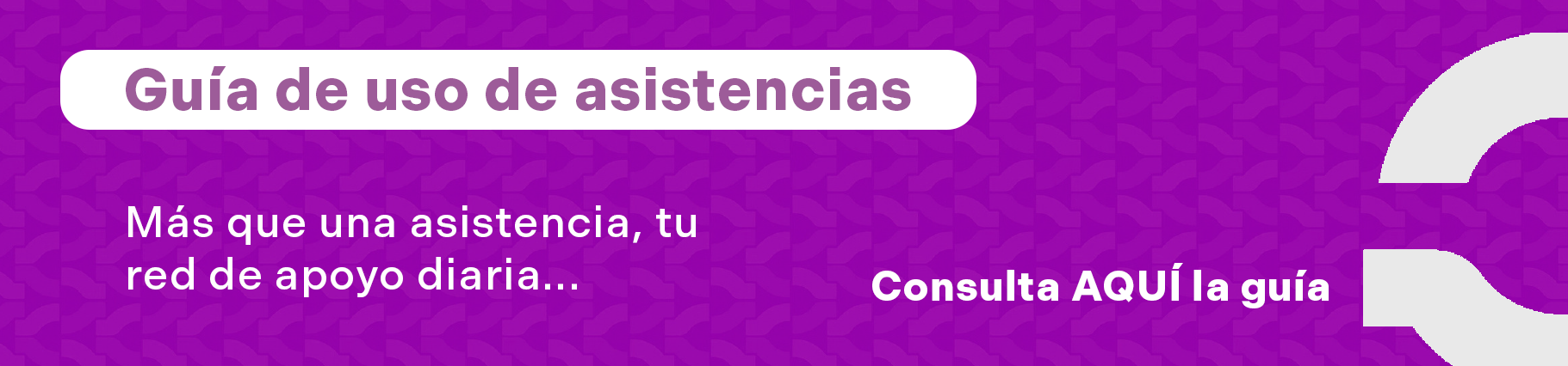 Guía de uso de asistencias
