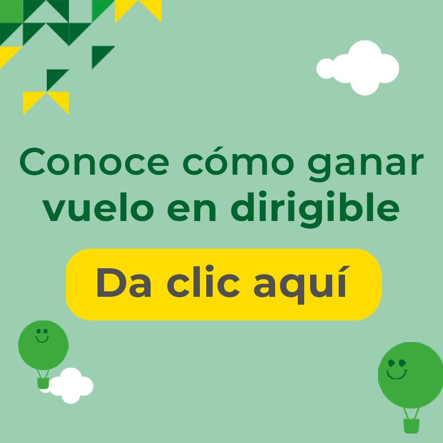 Bases Vuelos